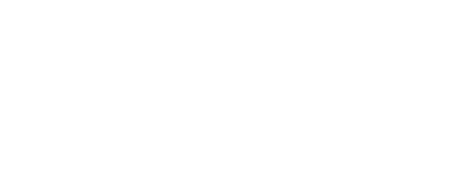 Seluna Agency