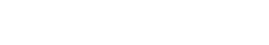 the bunny
